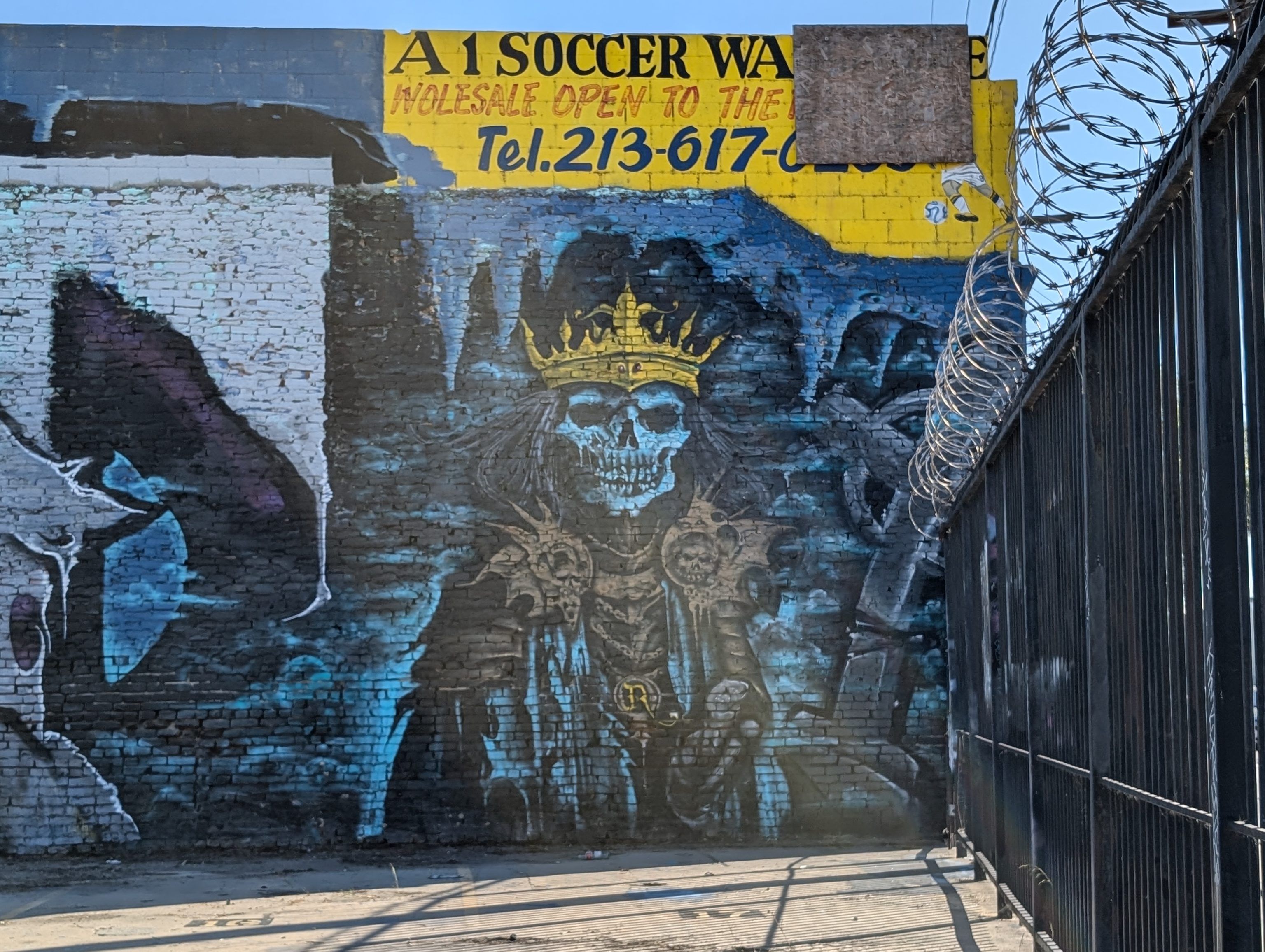 King skeleton