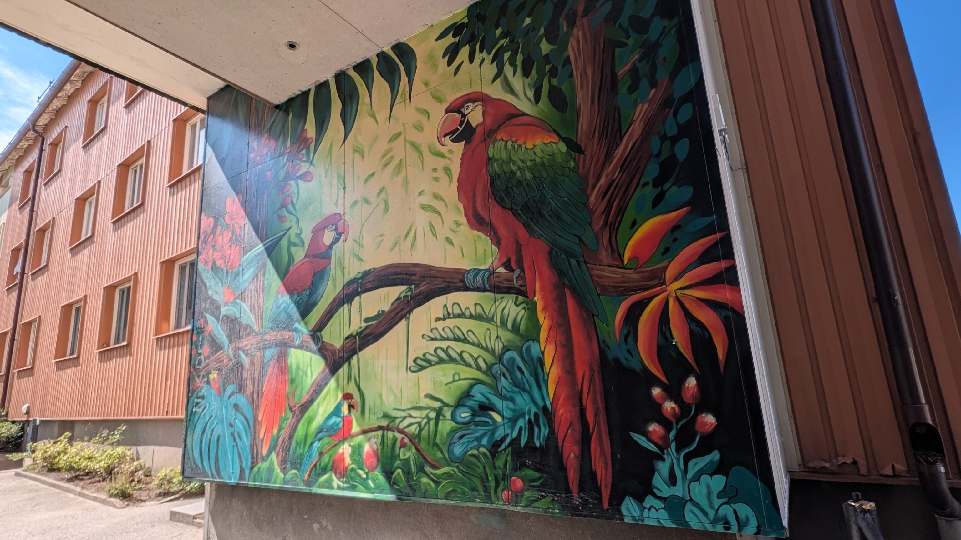 Parrots